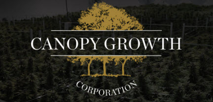 The Ignominious Fall of Canopy Growth – And What This Means for the Current Business Models of the Cannabis Industry