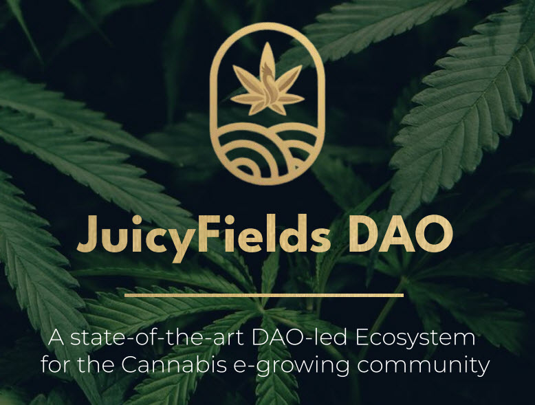 The DAO of Juicy Fields?  The Next Iteration of the Scam That Will Not Die